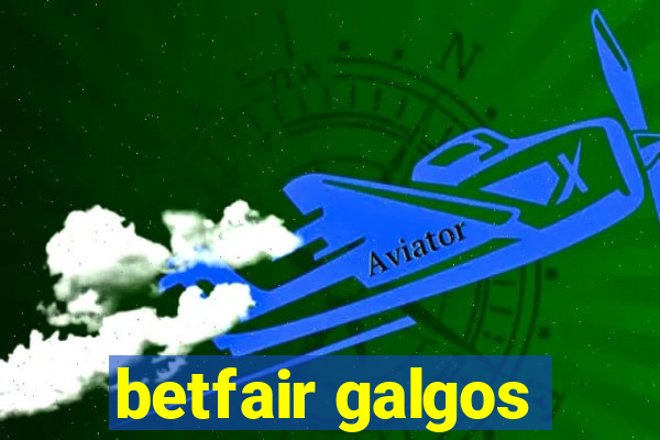 betfair galgos